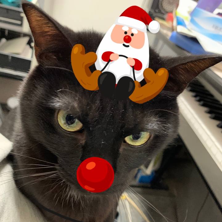 7873b6aa b53e 4e63 81bd 5232ac236216 1577358209784