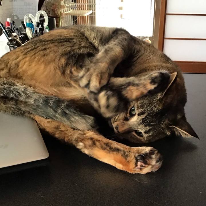 7873c1df af1a 434d 8d36 6dbd37279195 1707694267574