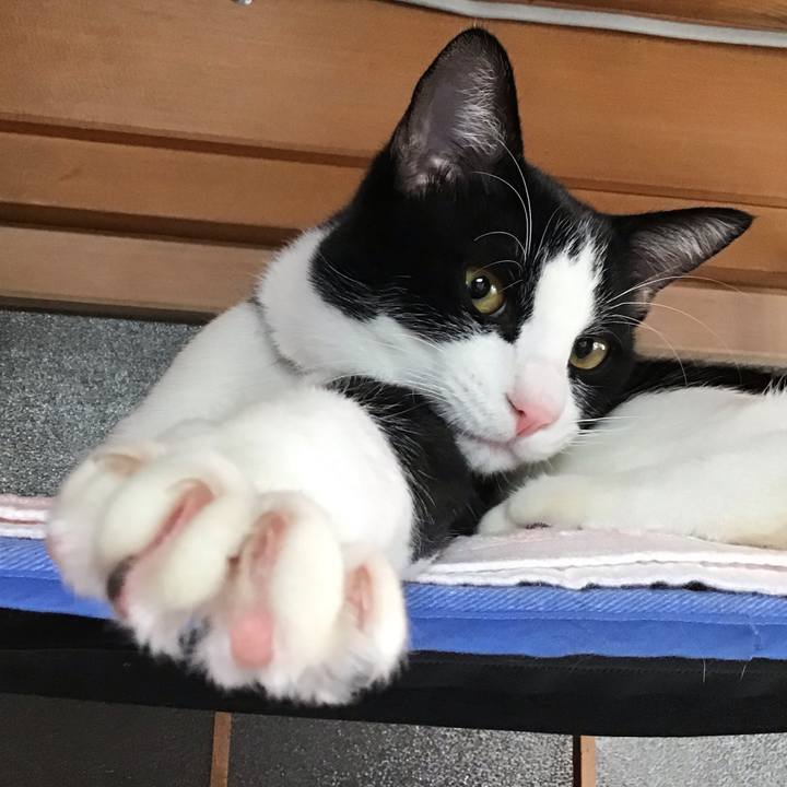 7873f330 55cc 40e7 848f 4554f38bde07 1638058981243