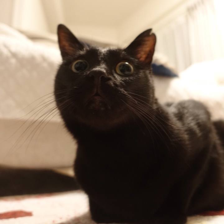 787400ba 74c2 4a81 8471 cbd4ea00c092 1558536694190