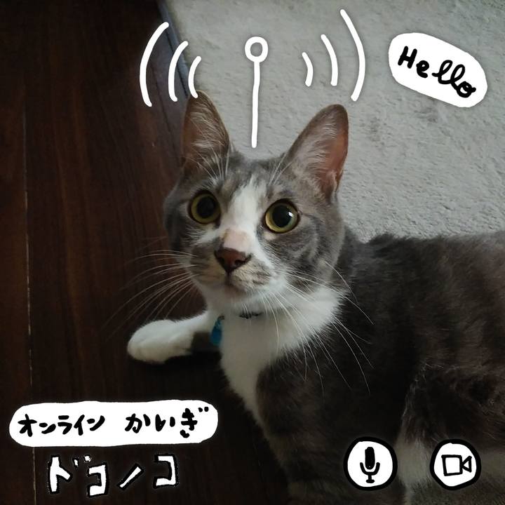 787404a6 6263 4110 8f13 7222b6181e1b 1593304302074