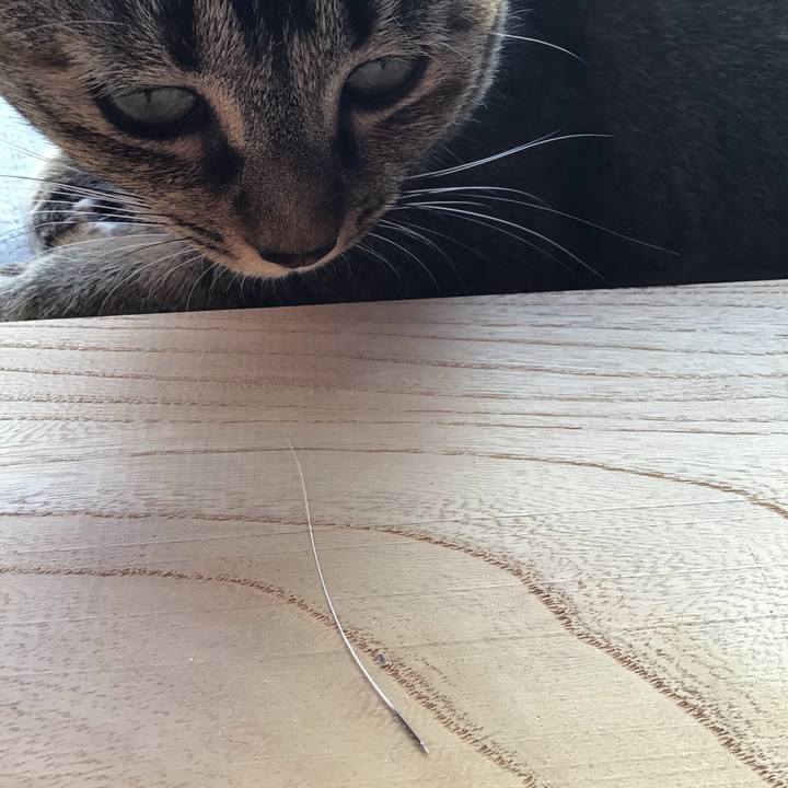 78741942 043b 45d6 bd02 fbccf85dd9af 1606718798088