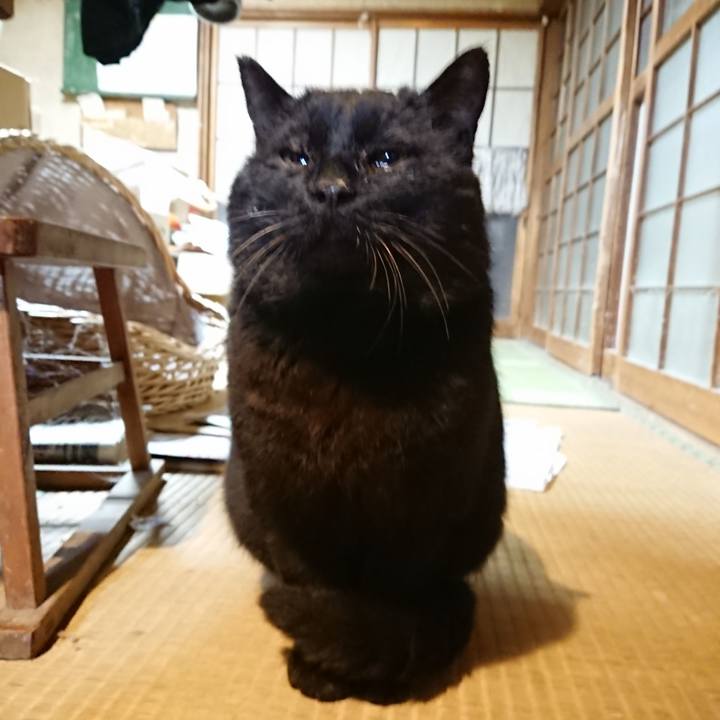 787491cb f5f9 4c8b 8b80 4bb5ff462ca0 1616753666763