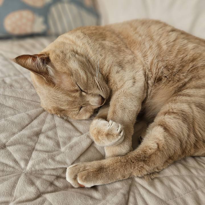 7874a15c 677e 43f8 b10c 1d130f8bda73 1714778335350