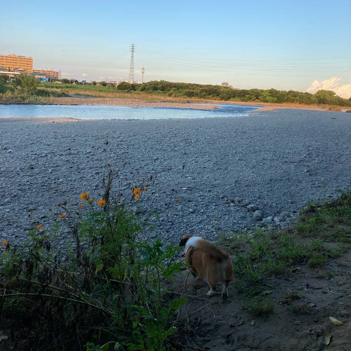 78753196 2ceb 41bd accd 4e9a6aae6969 1726183456497