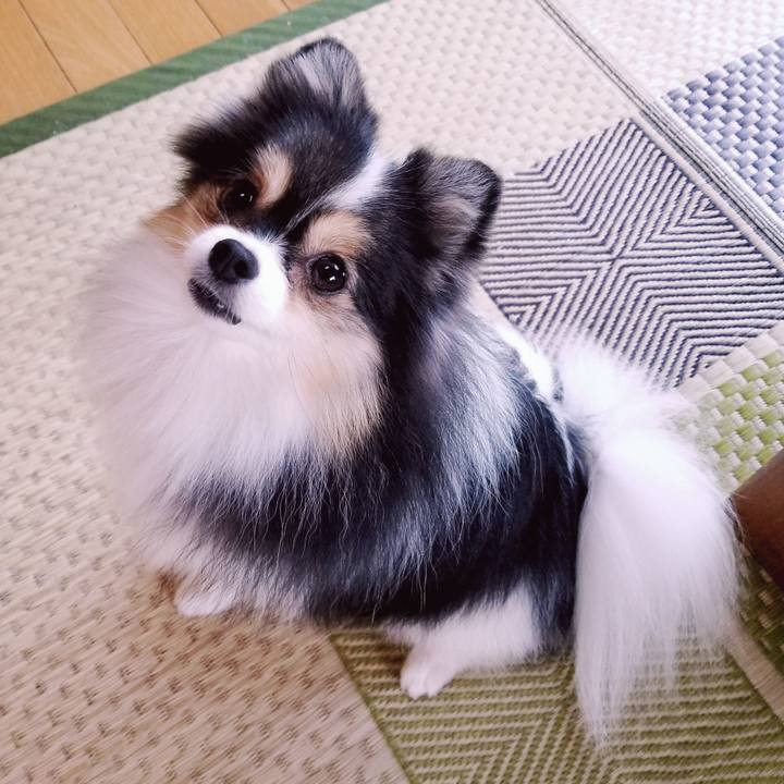 7875d14f cedf 452f bb5d d47575afa11b 1538434998459