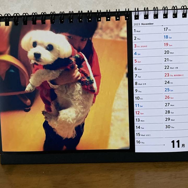 7875dd38 c982 4eed a6e1 c7ff2754843c 1701322332158