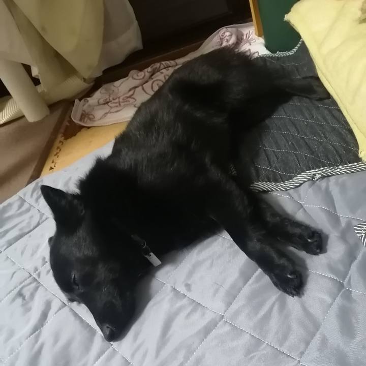 78760257 cfd7 4838 ae85 28c16e1056ce 1623066945773