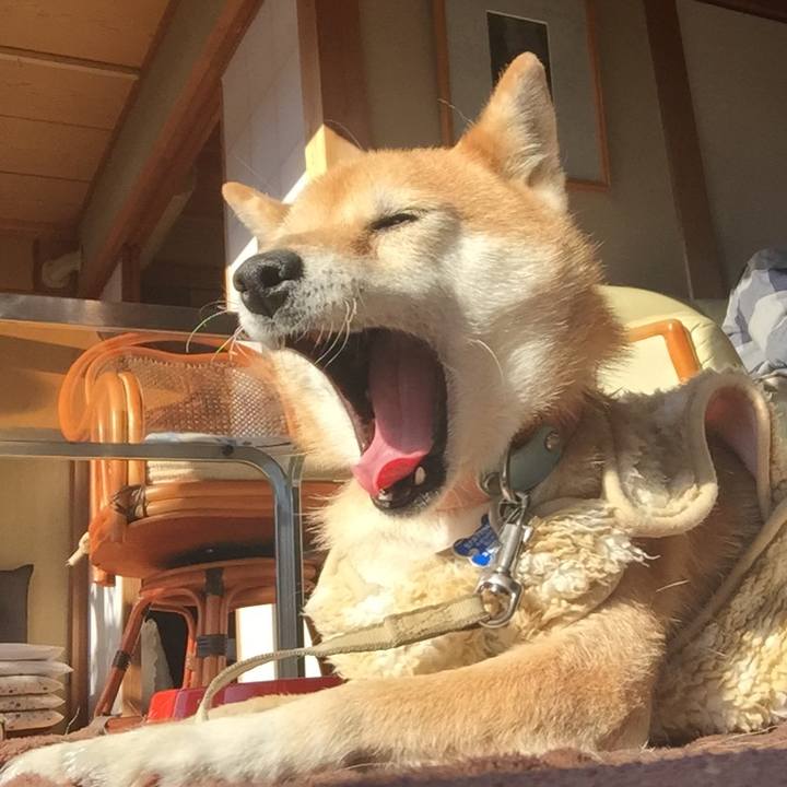 78760ae7 e1a3 4a41 98ce b99399554fb1 1546306854236