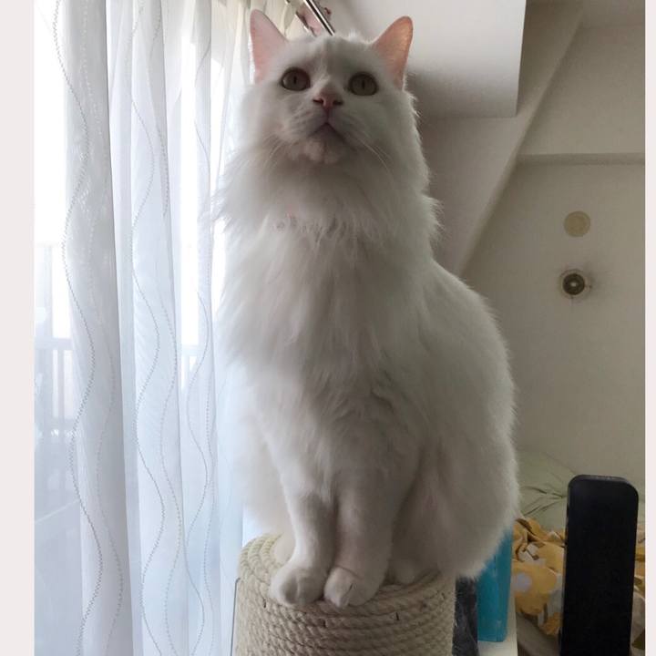 78761cdd 205c 43f2 9e9c 75ec8cd5febc 1553390963714