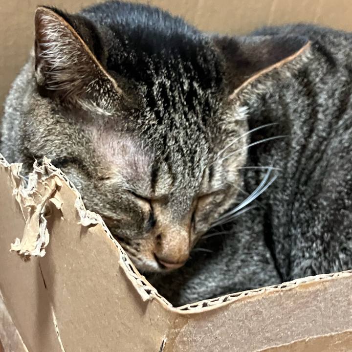 78762c4a b7f1 43af 9cb8 406821a7f9d0 1760308594761