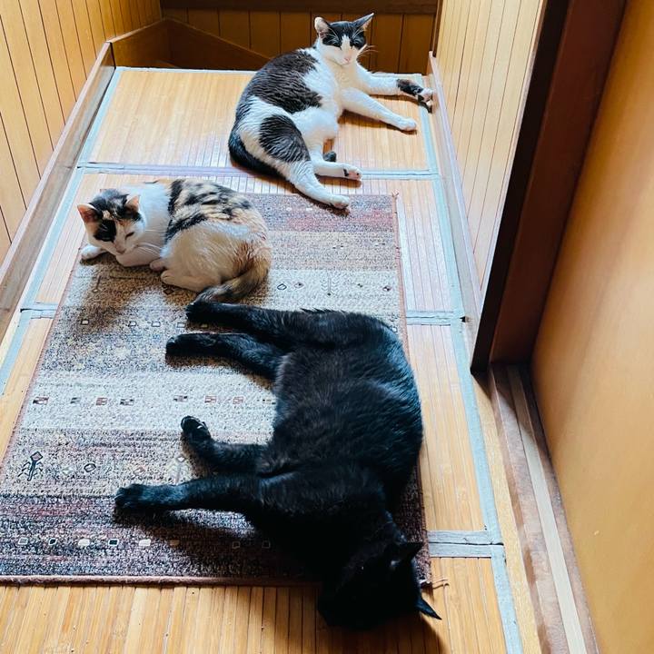 78766445 1e25 46fb be15 032d354b6410 1658970759675