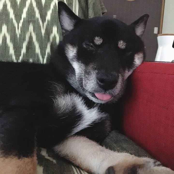 78767cbe bfa7 4fa2 b77f 26827f9ebbb4 1538491863953