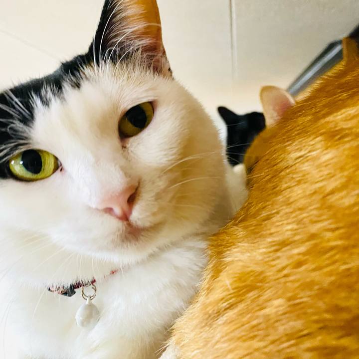 787680b9 a1a6 4cc0 81c9 9d67dc8a044d 1671020594177