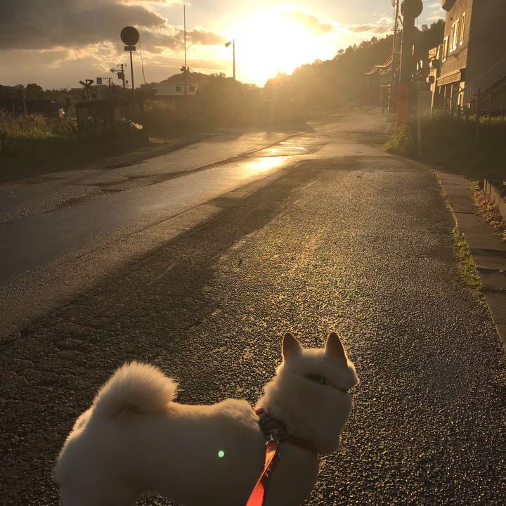 7876f262 6837 4d45 a9a7 3a554ddcb53e 1539815182347