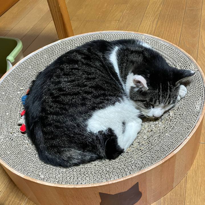 7876ff88 1523 43c7 ac29 e51798f23ce3 1700698604383