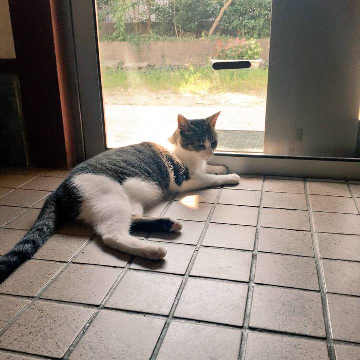 78777d54 e2a1 487a 809f 24ea71e66560 1533176157632