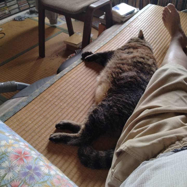 78778e8d 3589 4362 8716 64d2f7b04cec 1720260704019