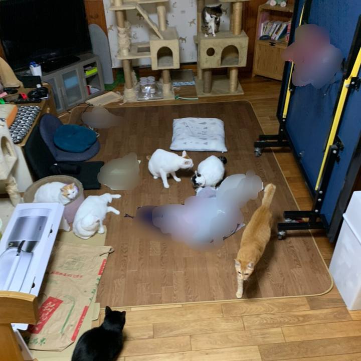 78779bf9 26ee 4dd2 8c85 1da430e1c184 1572533145752