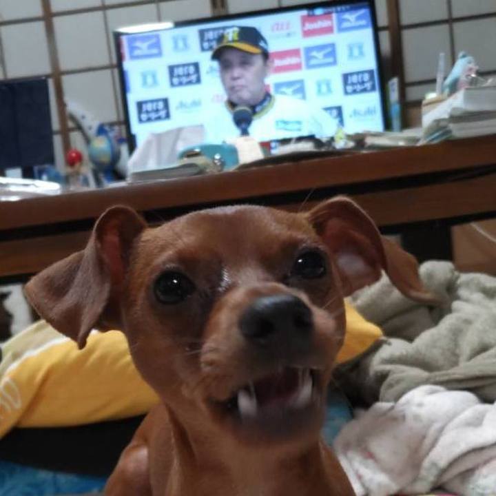 7877b765 78fe 4b5d 8f10 8ba12bc4e801 1694680356375