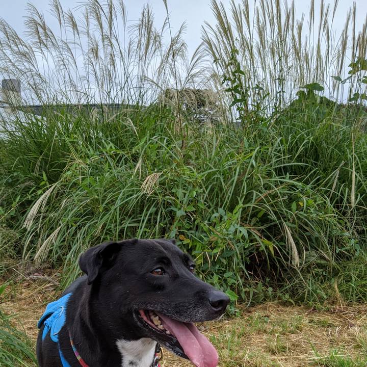 7877cf0c 8439 4369 bec0 f8a64c39dafb 1633825356095