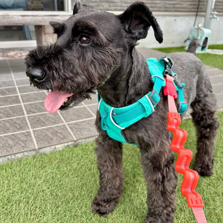 7877f16a 3272 4773 885e 94ac502db304 1754443221003