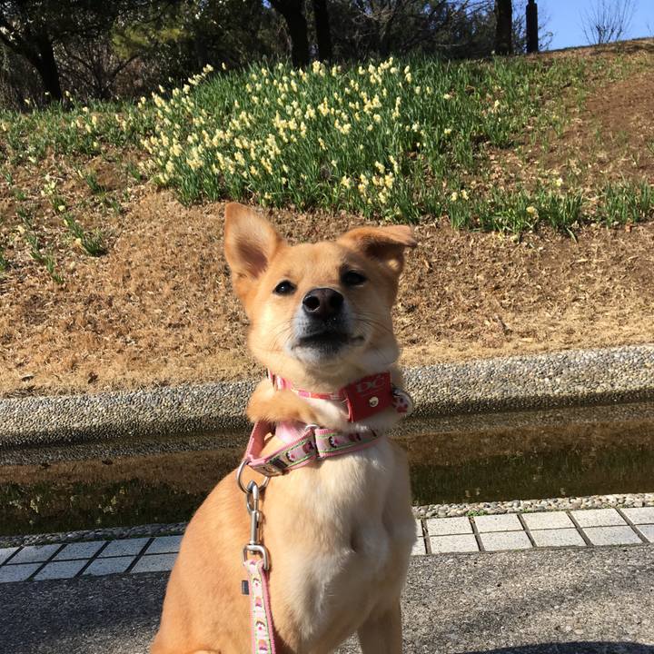 7878274f e871 4994 9675 9d9b987f964b 1519092432062