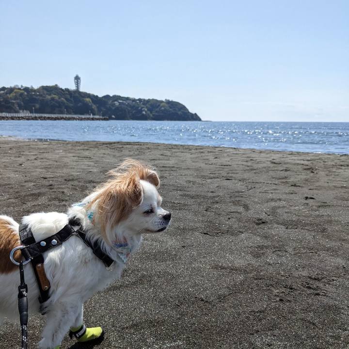 78782d7a f4a5 4f3f 9cc0 ffc7cedbd18a 1680147648677