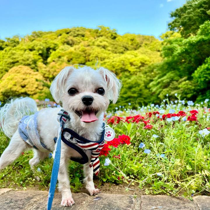 787833cd 29a9 4482 b16b 84cf4f8f4757 1654830581454