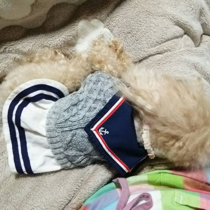 787841d9 3fa1 4294 88f6 bb03d941f2af 1515327054297