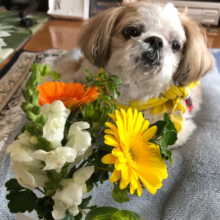 78786cb5 1d4a 4ac0 9e2f d1f5b64525dd 1554591546876