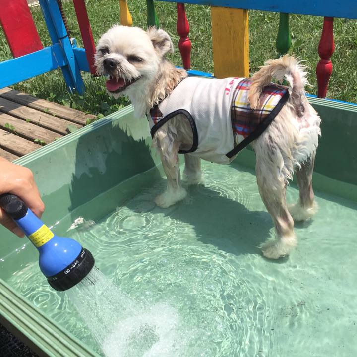 787877a4 c2a5 4dcc aa33 df1e36955ec4 1531751947321