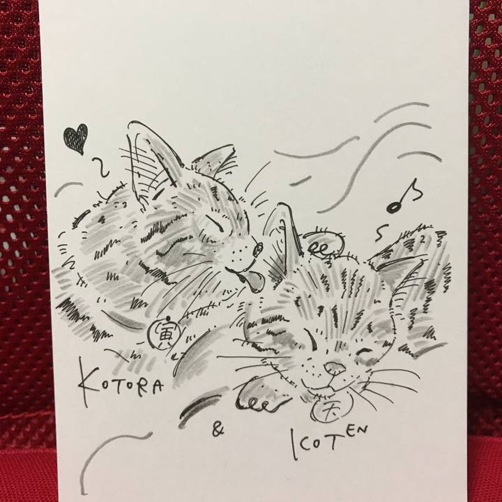 787887b1 cd92 4201 9810 d14ed4911f35 1567779936028