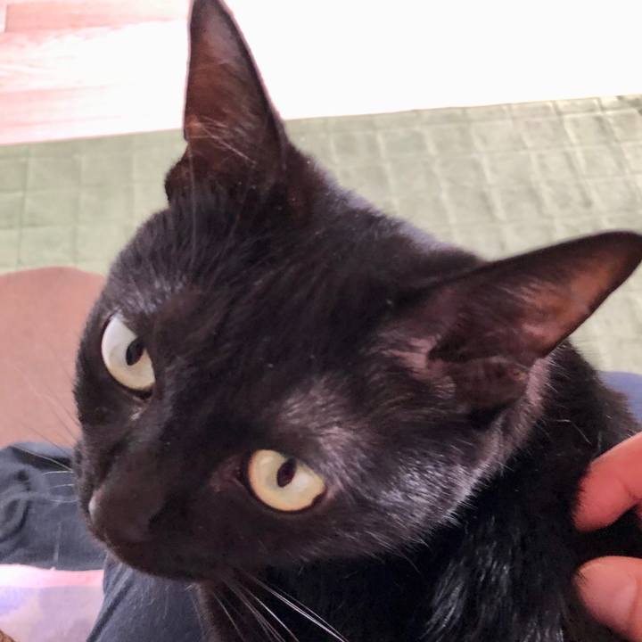 7878938d ae4e 44af b91c 2e3a5b6f51fb 1593127132520