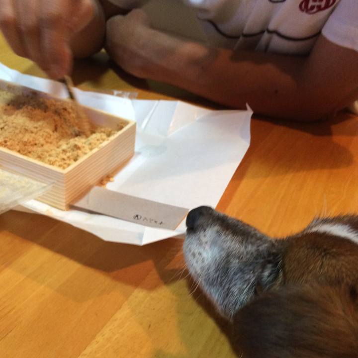 787899e3 4446 41ed 9aa1 60b4439693a1 1534593778070