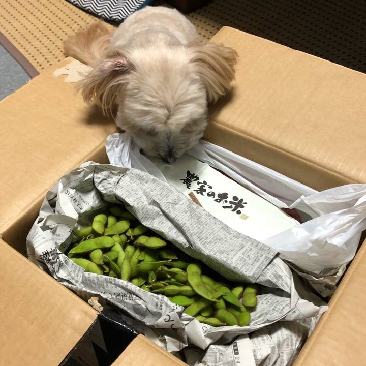 7878ea4d a0cb 4041 8590 54f5aea2e825 1507798356308