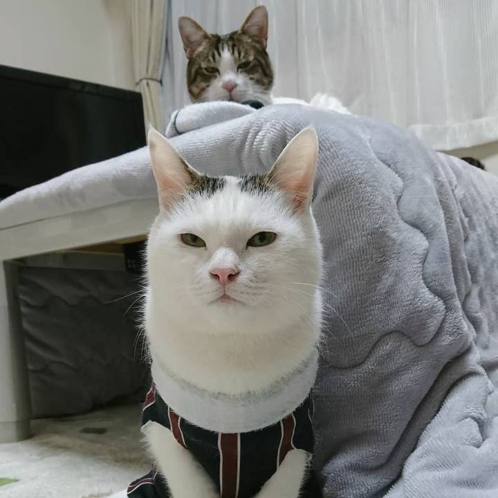 7878f6eb e941 40c9 bc05 4e7bcaecb2e3 1544920237959