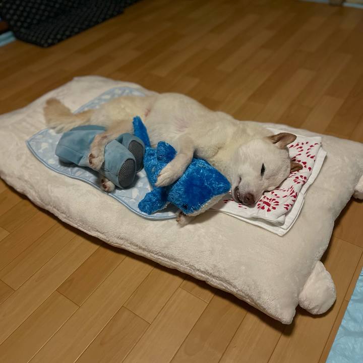 78791c8c 2db4 4b21 83f7 bf8367e453a8 1661890102886