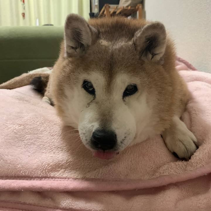 787932bc b898 4089 9597 926cdf7ce8eb 1643984727958