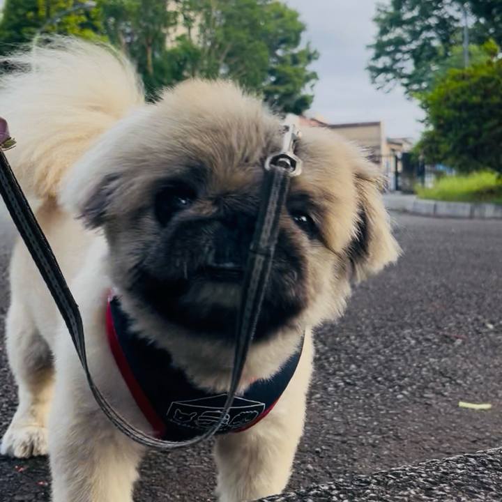 78794e94 0425 4058 8f9f 066a2ae5dd16 1752272636654