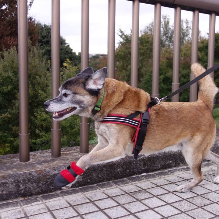 78795a02 8b71 4197 bed6 ec36fad276f6 1541304379896