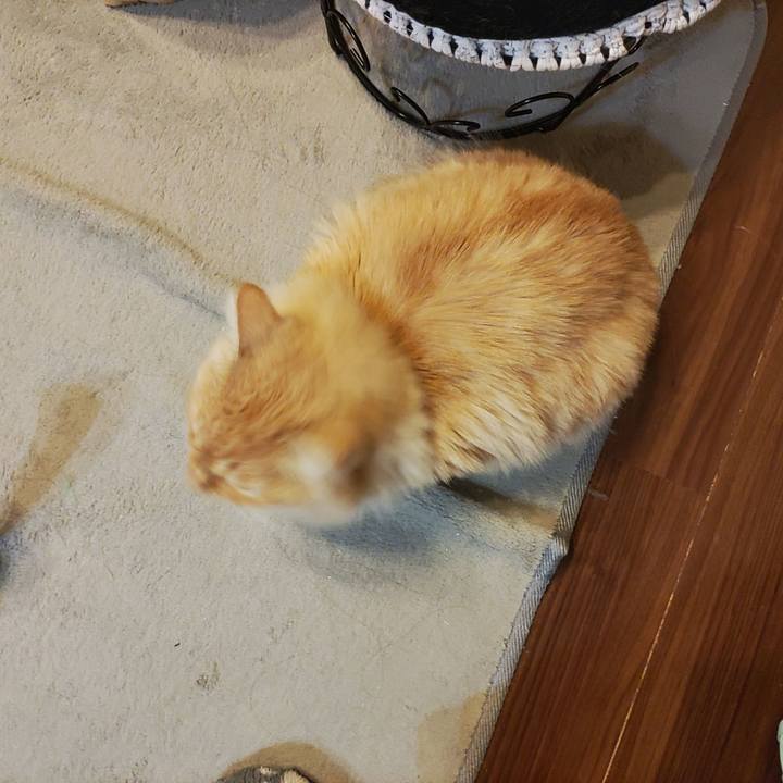 787985b9 306f 449b b4c1 f17f306a028b 1675805105275