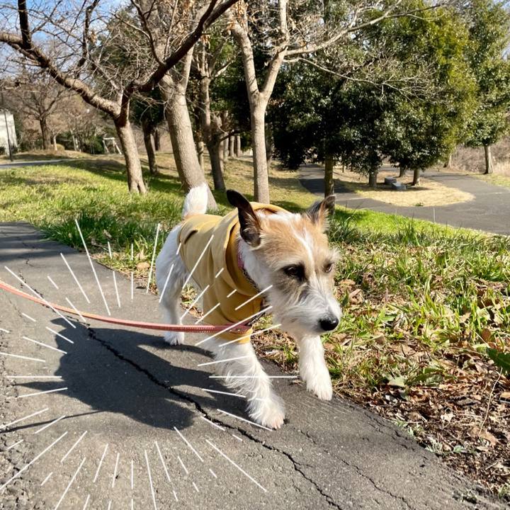 7879b262 885f 4ffb b7c5 6cacb270eee9 1646817878794