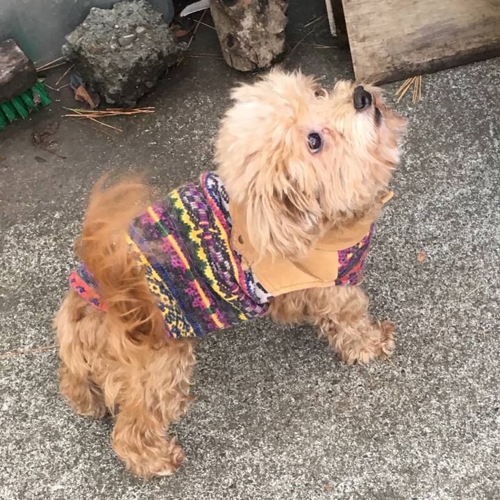 7879ca27 0f6f 40c0 89ef b1b40616728b 1517963609357