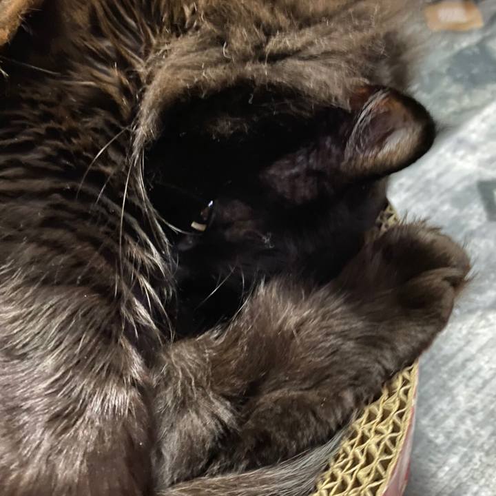 7879fe56 cd2f 4c59 b3a5 4c77737ecf5e 1580138692774