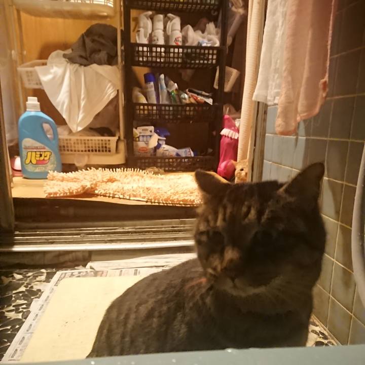 787a17c0 cd2b 467b b71f cb11729f7cc6 1642250094445