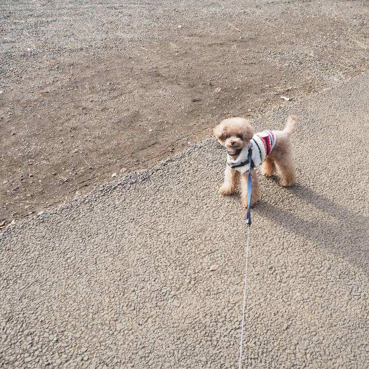 787a32ea 37c0 43be 9bbb 29496e2a0d60 1516493897118