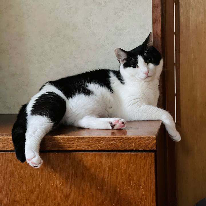 787ac52a 58f8 47c7 ae49 89cca39a795d 1632881271426