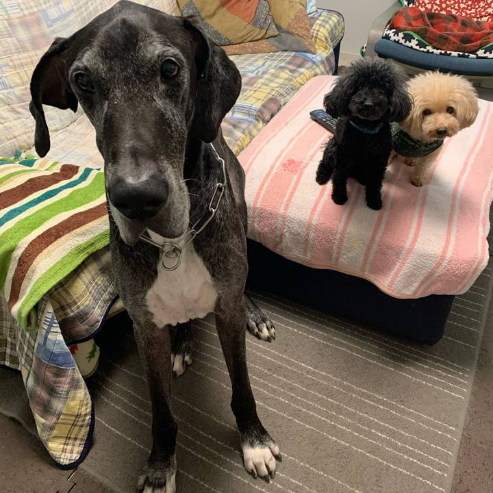 787af0b6 6aa5 44f4 aea2 51b8ff04333c 1602801194047