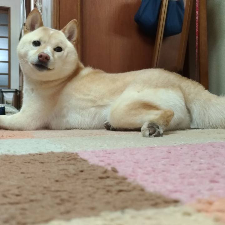 787af613 3b2c 4e88 99e3 43b3390c0b9f 1553599588019